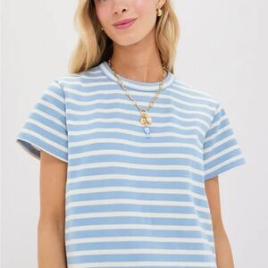 Light Blue Stripe Parker Classic Tee